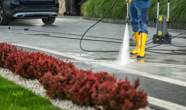 Animal Enclosure Cleaning in Hampshire, IL